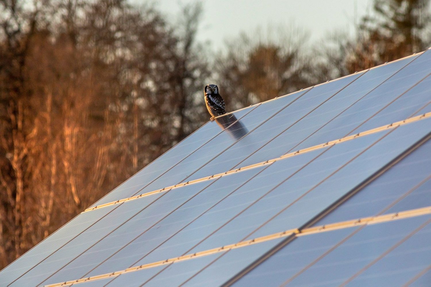 PHOTOVOLTAÏQUE RÉSIDENTIEL — Solution solaire optimisée pour une habitation, offrant une énergie propre et durable, avec une intégration harmonieuse à la toiture.